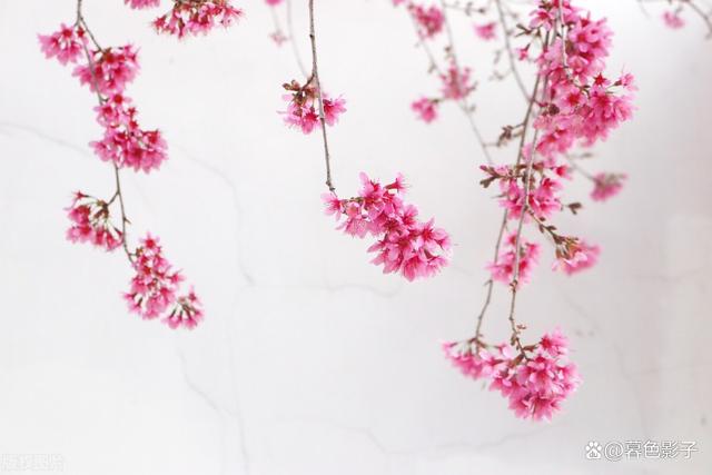 图片关键词 图片关键词