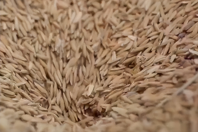 图片关键词 图片关键词