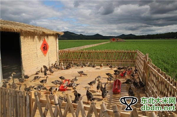 图片关键词 图片关键词