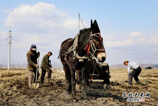 图片关键词 图片关键词