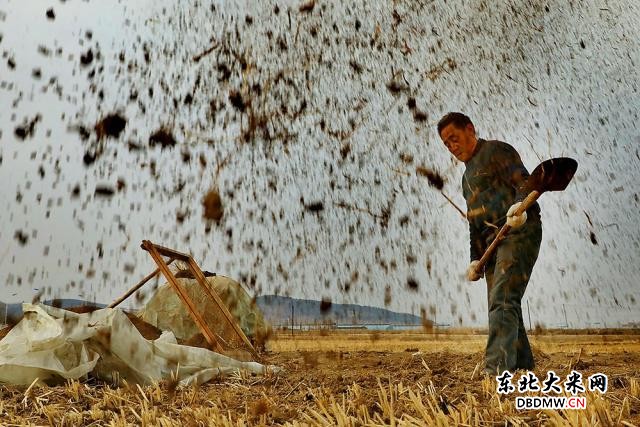 图片关键词 图片关键词