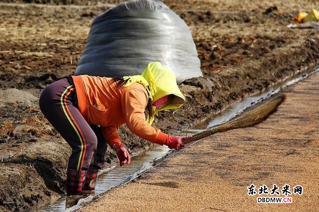 图片关键词 图片关键词