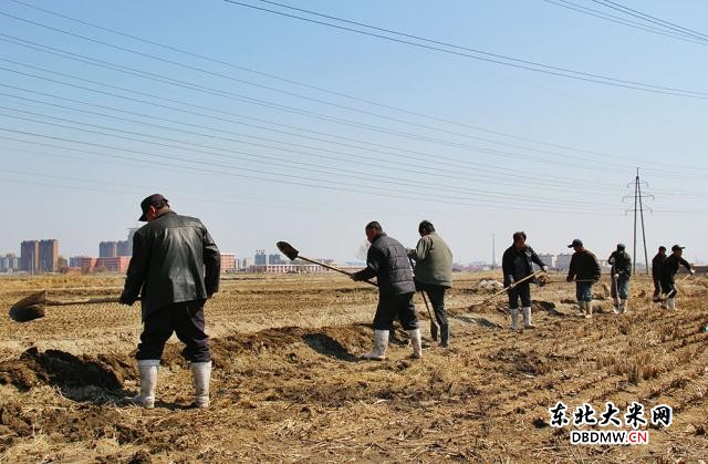 图片关键词 图片关键词