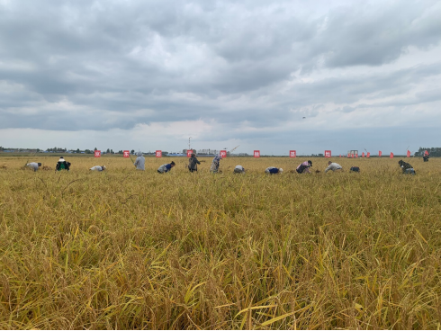 图片关键词 图片关键词