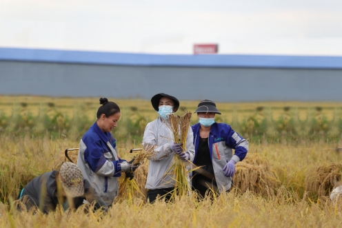 图片关键词 图片关键词