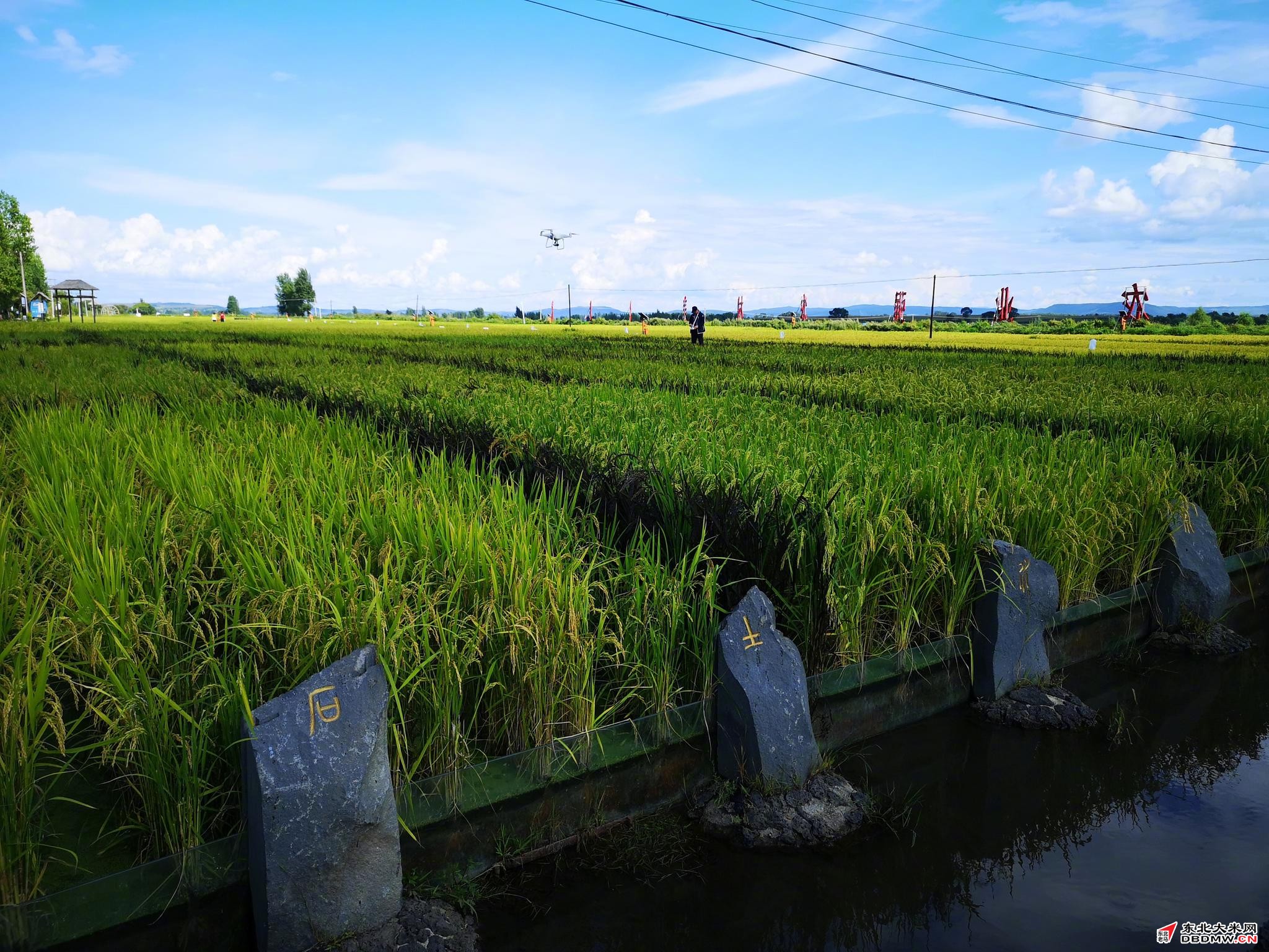 图片关键词 图片关键词