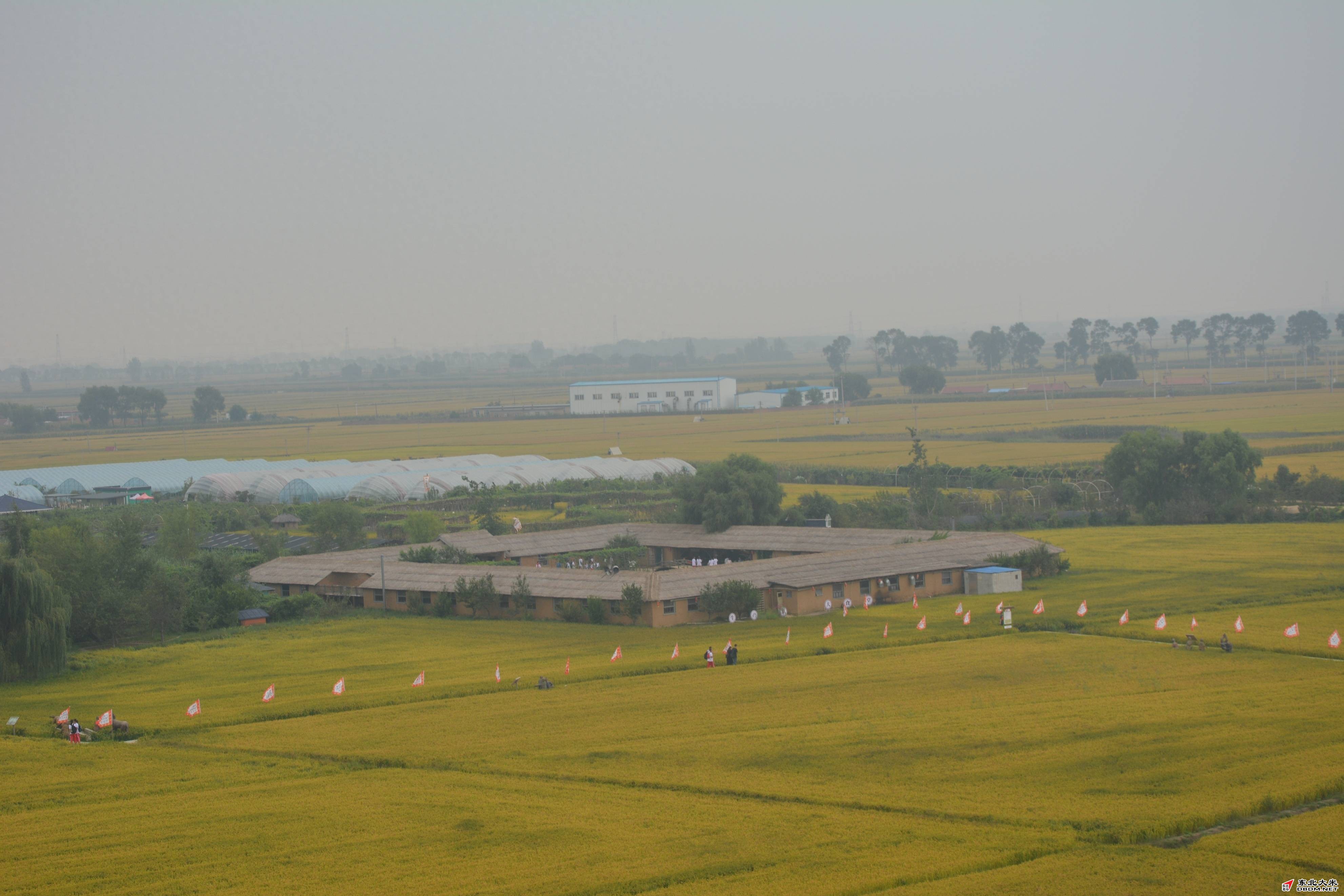 图片关键词 图片关键词