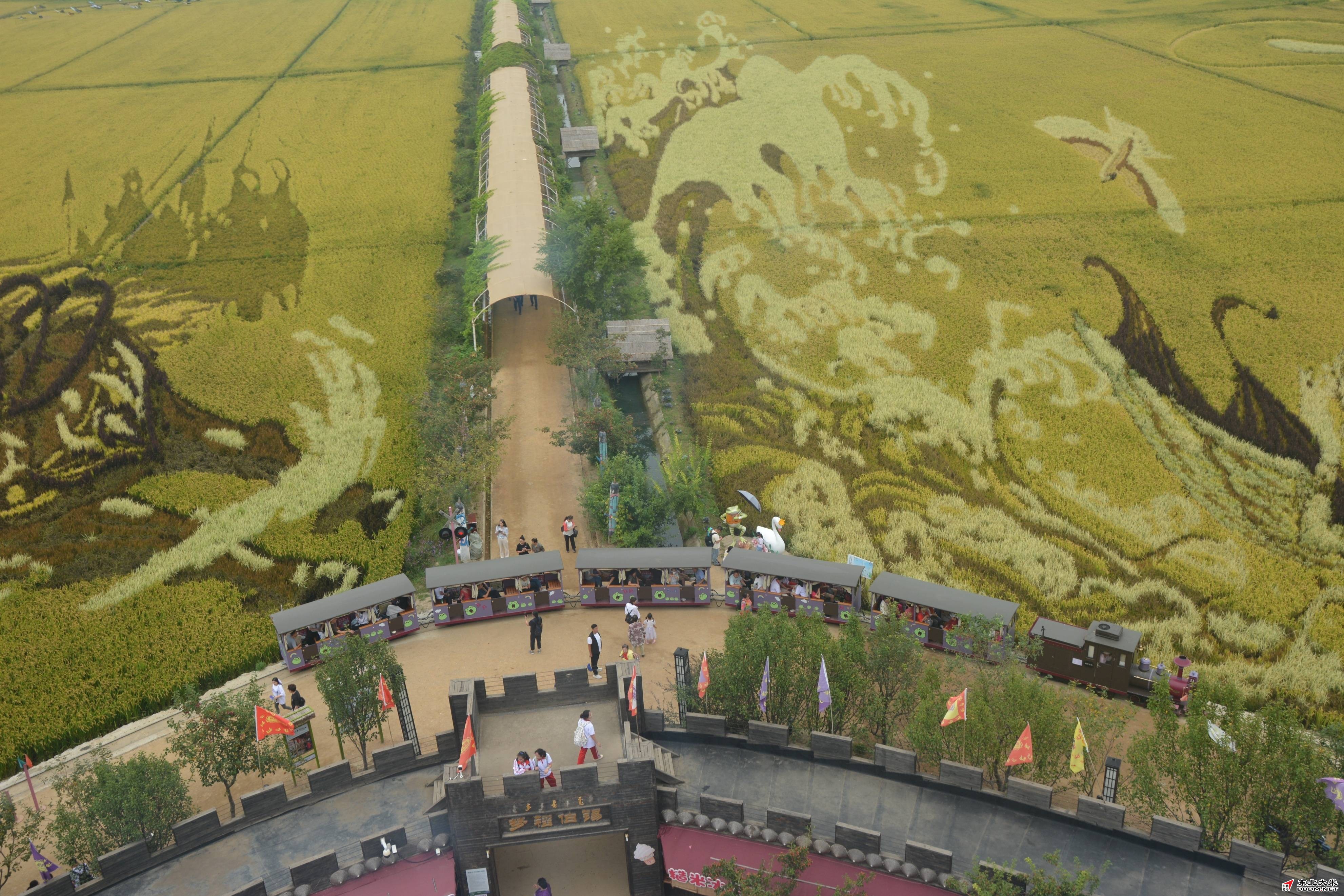 图片关键词 图片关键词