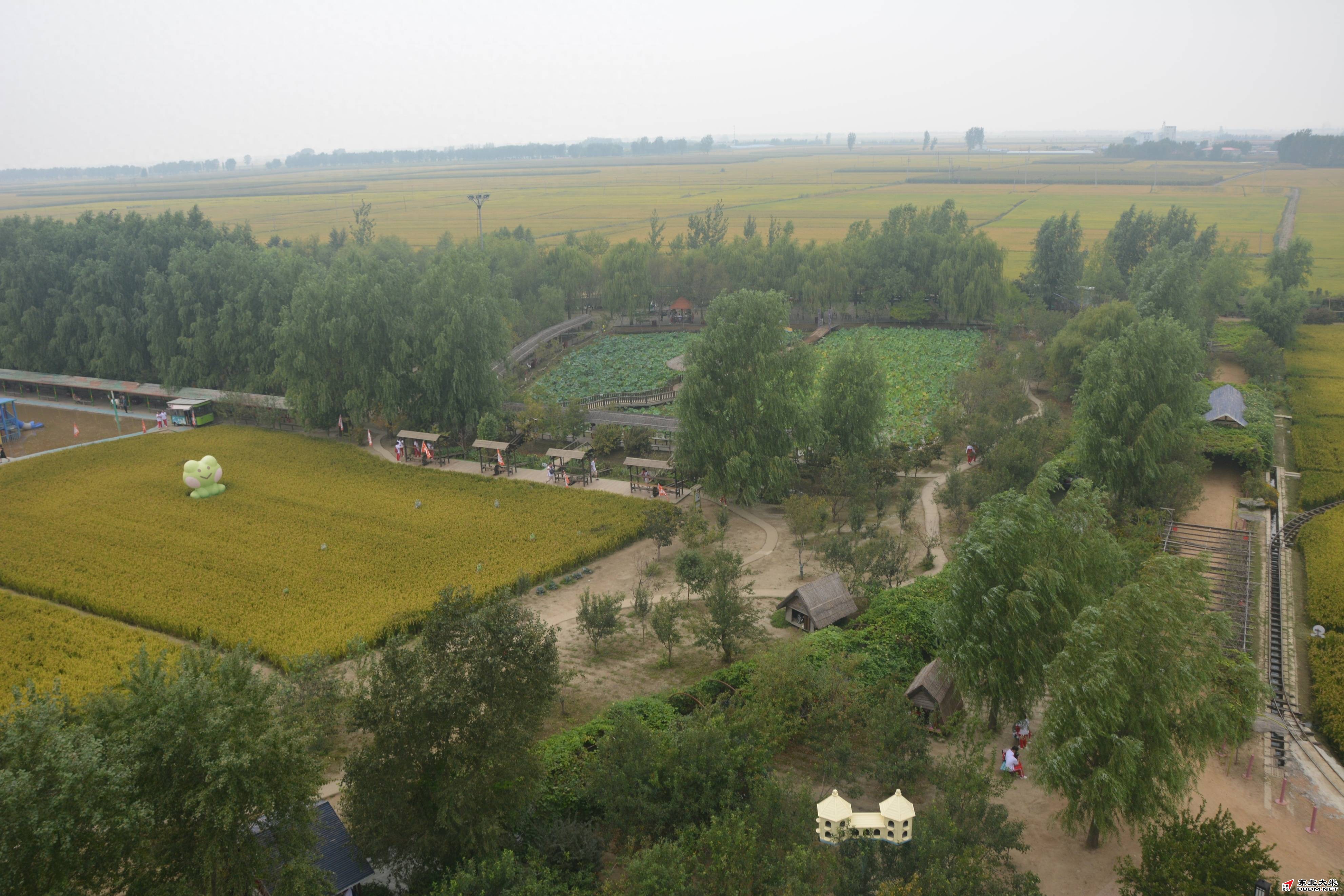 图片关键词 图片关键词