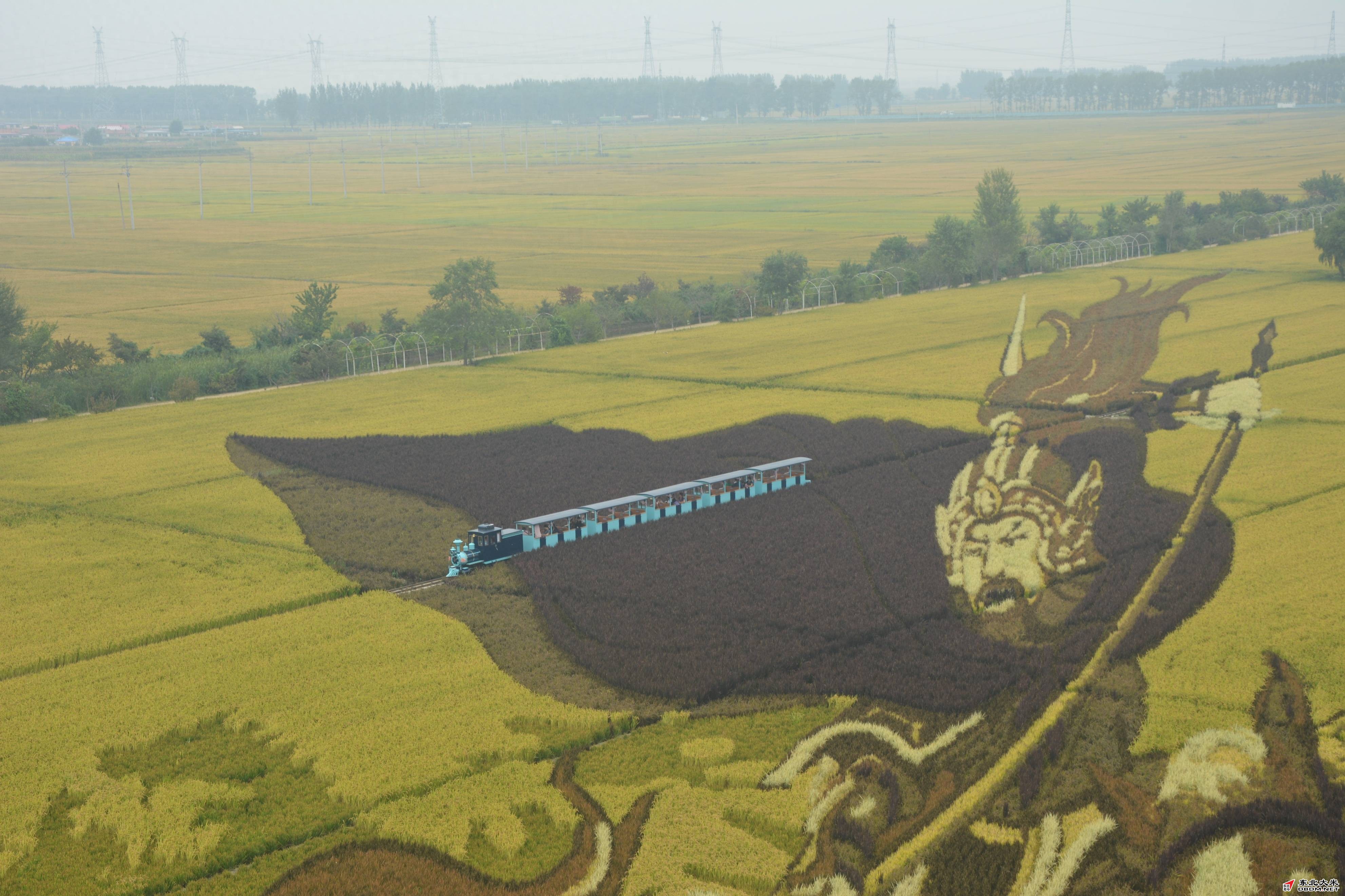 图片关键词 图片关键词