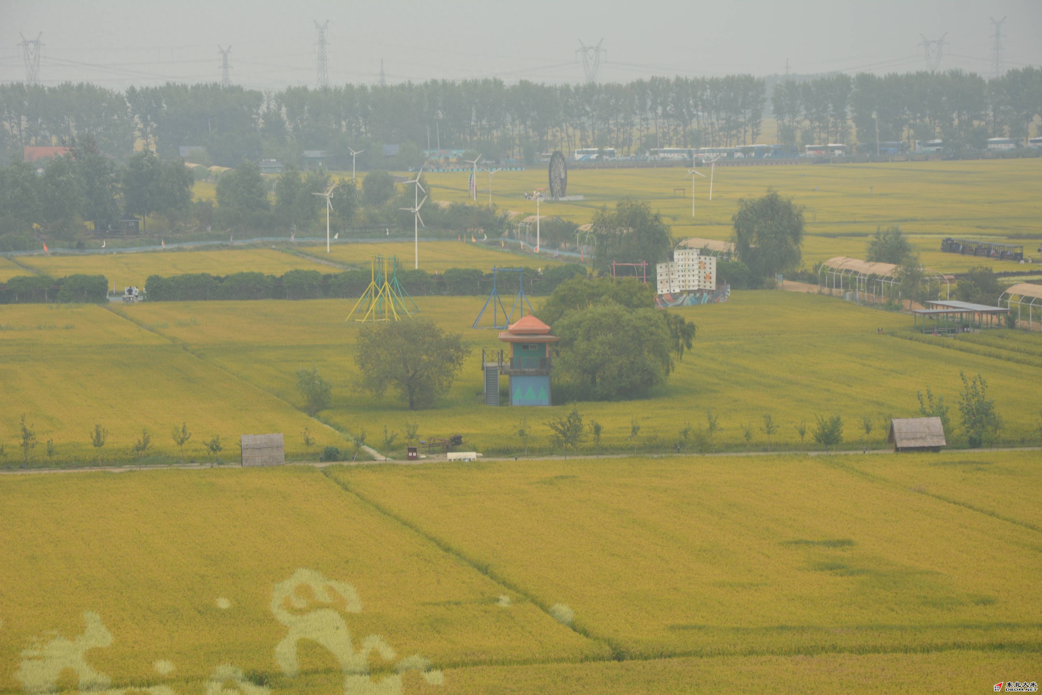 图片关键词 图片关键词