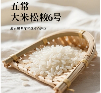 黑龙江五常大米松粳6号介绍