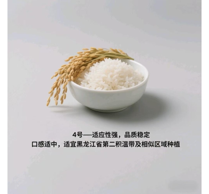 黑龙江五常大米绥粳4号介绍