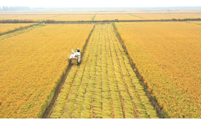 辽宁省铁岭市开原市简介