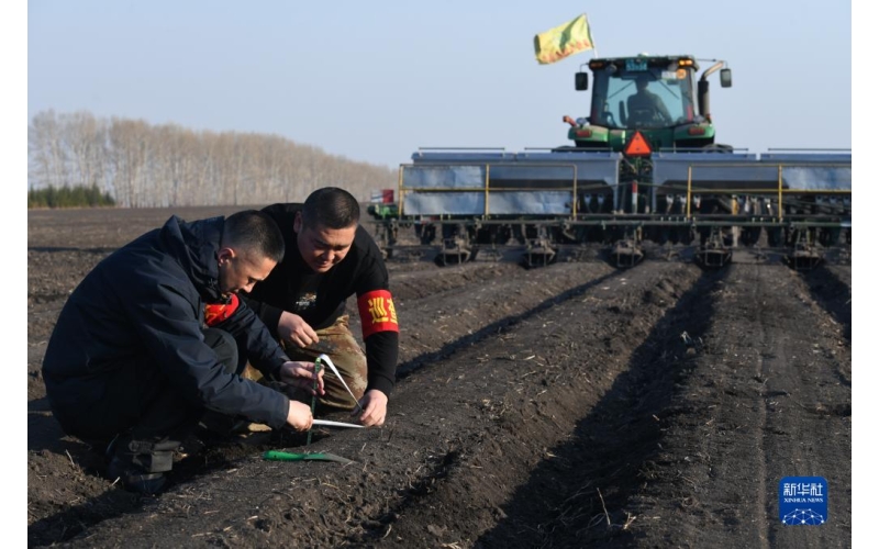 夯实丰收基础搭好丰产架子 全国已春播粮食1亿亩