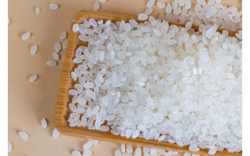 2023年5月5日全国各地最新大米价格行情走势分析