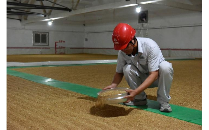 我国国家级种业基地供种保障率达到80%
