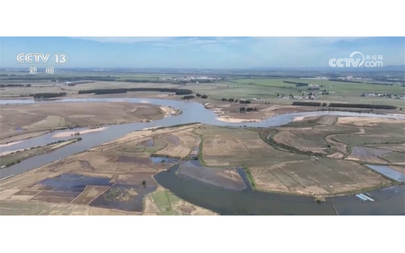 五常大米灾后生产有序重启 东北地区秋粮总体形势平稳