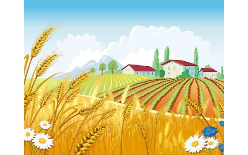 新一轮千亿斤粮食产能提升行动将全面实施，牢牢把握粮食安全主动权