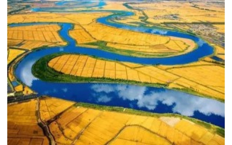 向您简介一下很有名的东北大米-辽宁营口大米